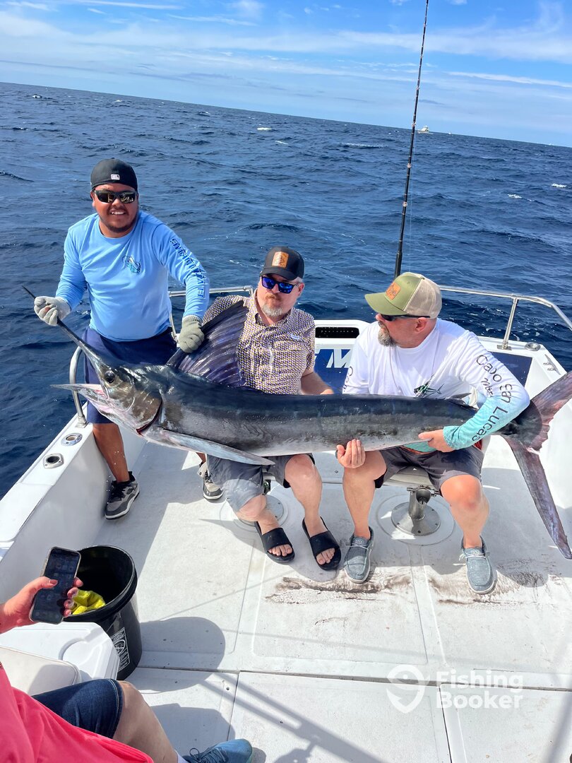 Cabo San Lucas Report Photo 0