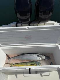 West Bay Report Photo 1