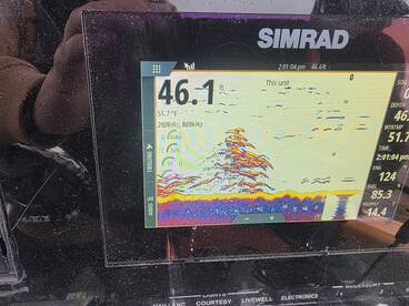 Long Beach Island Report Photo 4