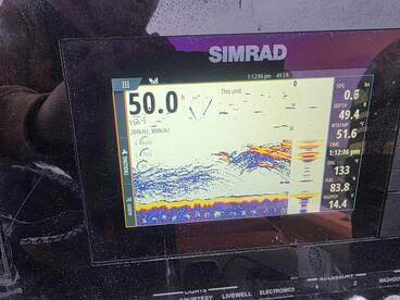 Long Beach Island Report Photo 3