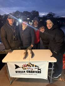 Harford County Report Photo 4