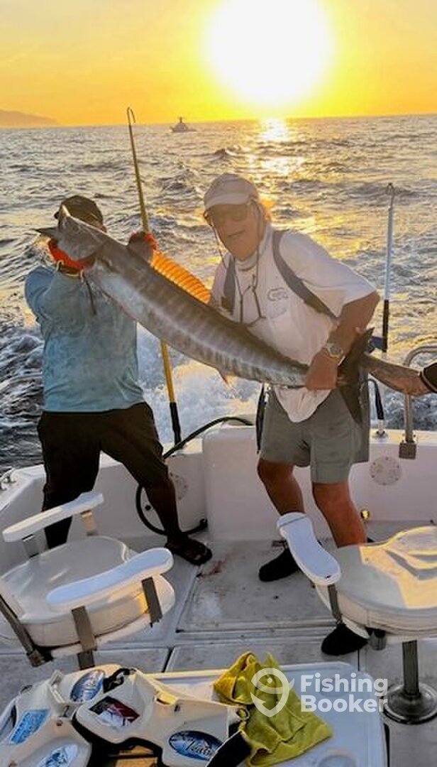 Hampton Bays Report Photo 0