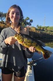 Delray Beach Report Photo 1