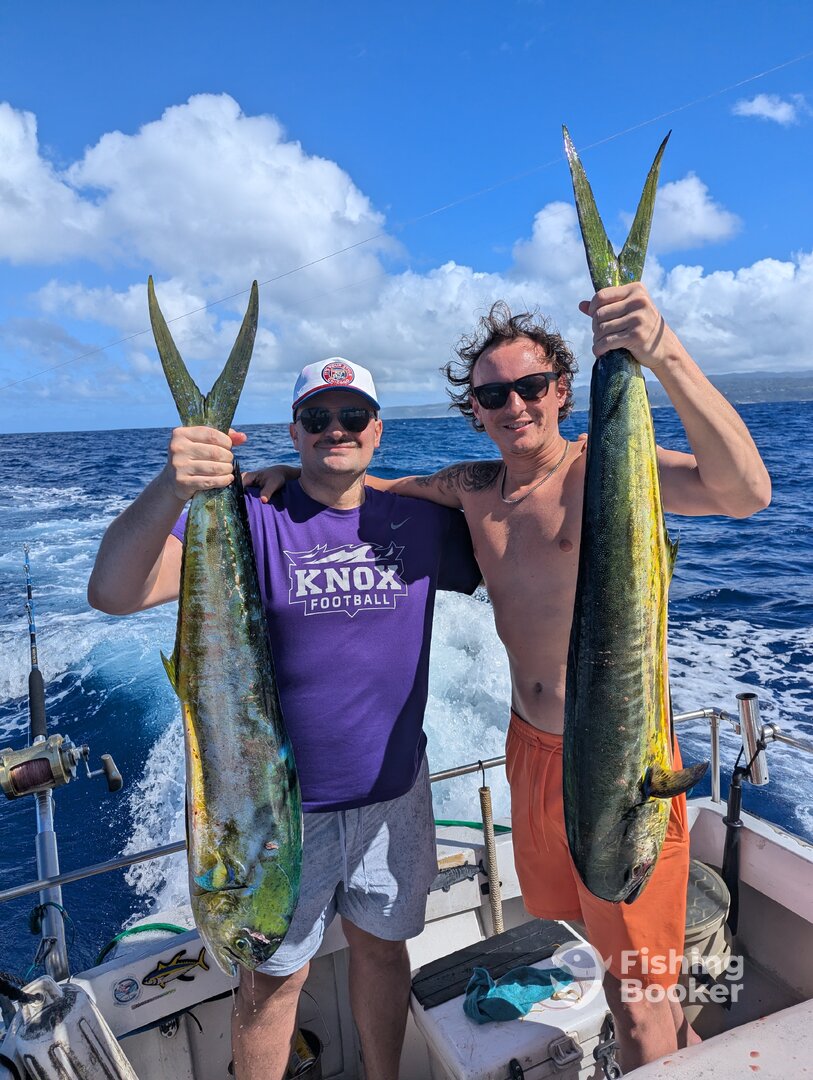 Haleiwa Report Photo 0