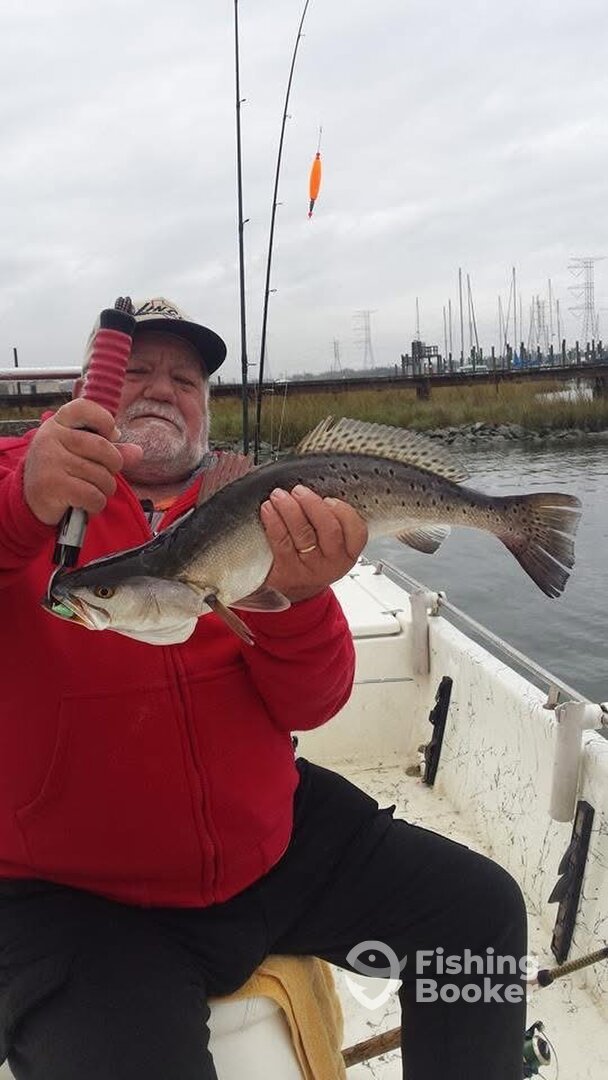 Houston Report Photo 0