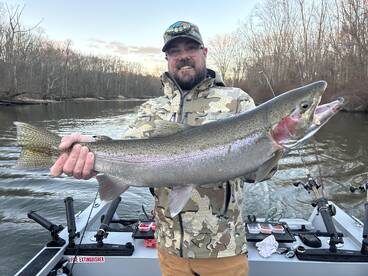 Beautiful Steelhead 
