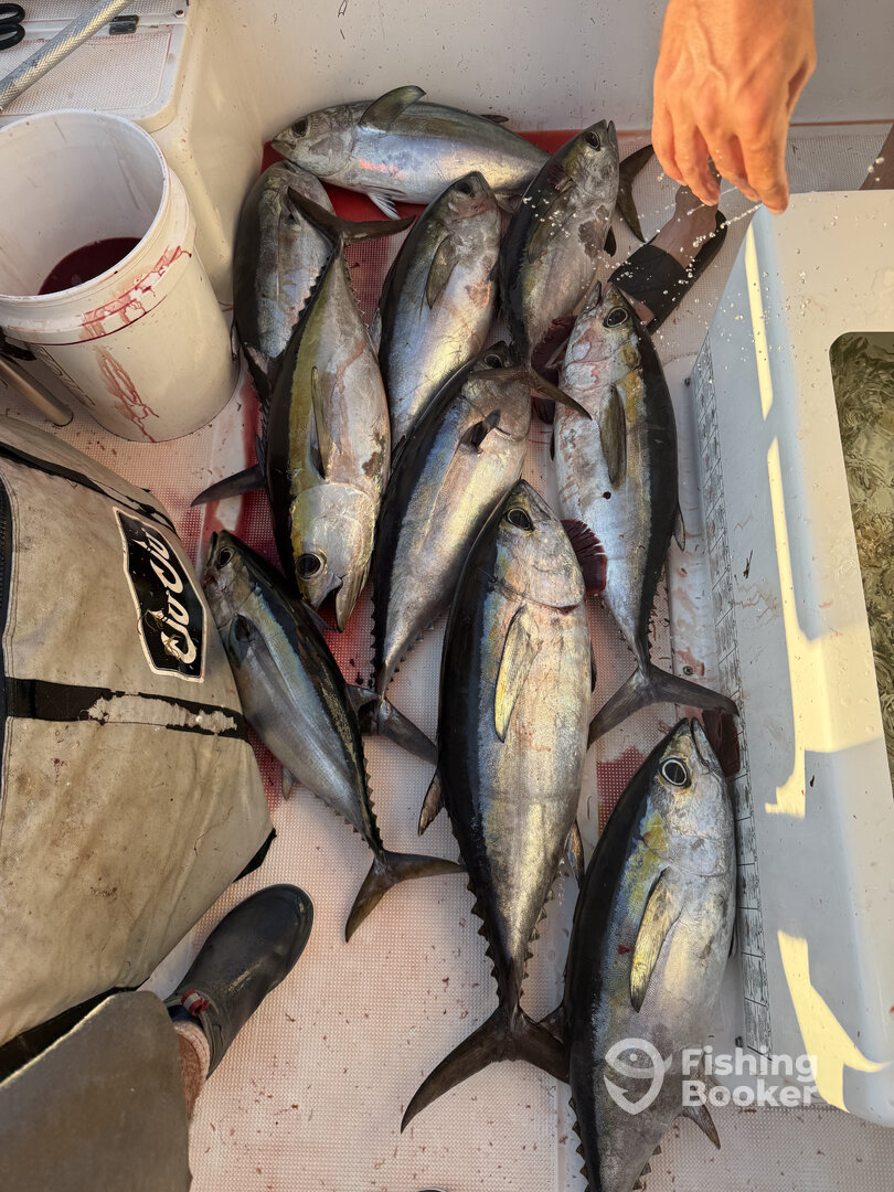 North Miami Report Photo 0