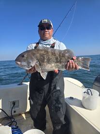 Assateague Island Report Photo 3