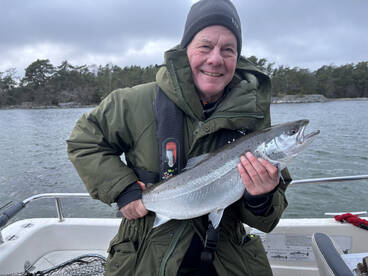Seatrout season all winter!