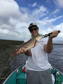 Jacksonville Report Photo 2