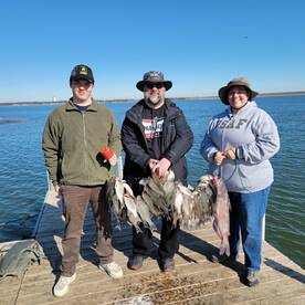 Grapevine Report Photo 2