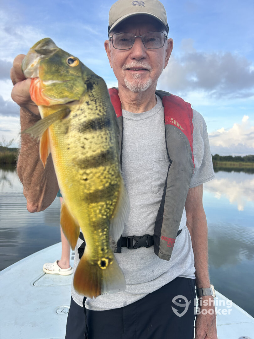 Toa Alta Report Photo 0