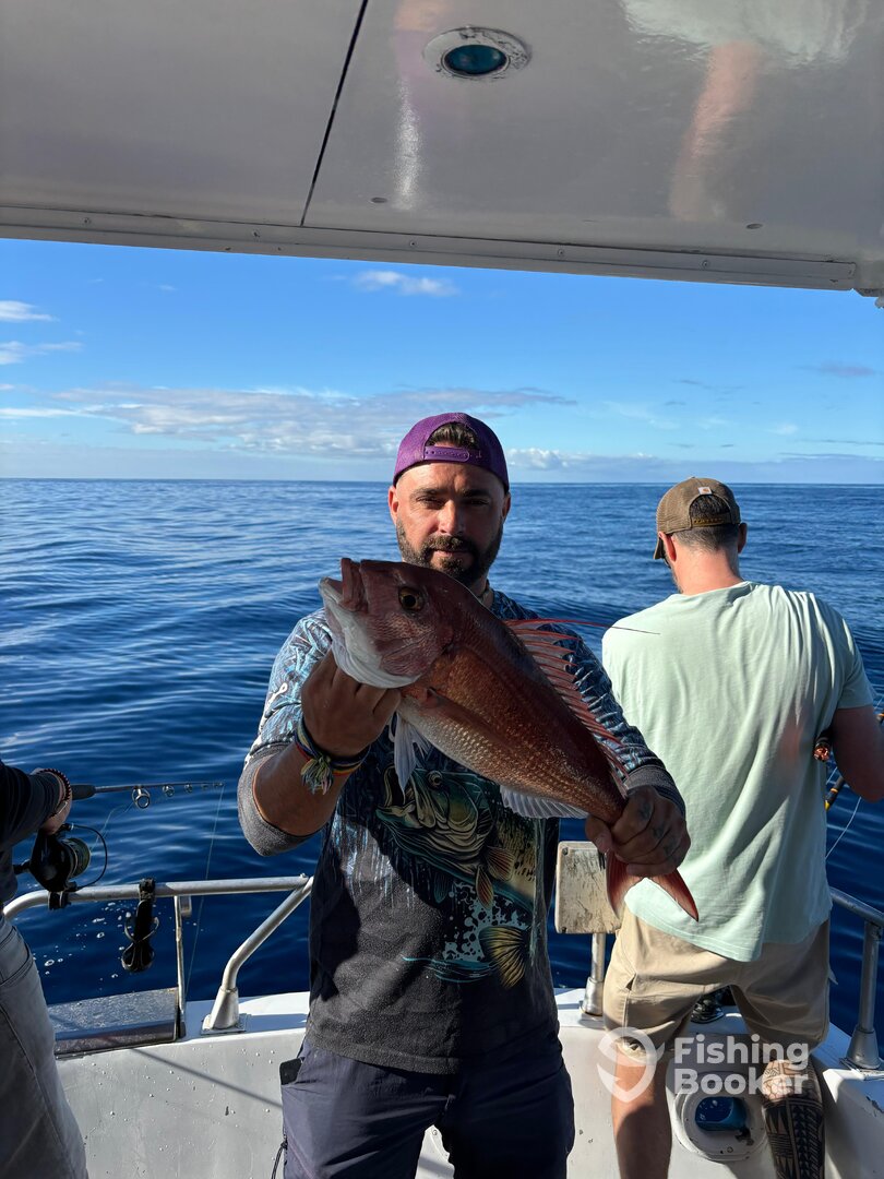 Funchal Report Photo 0