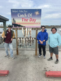 Despite 30 mph winds we managed a good b