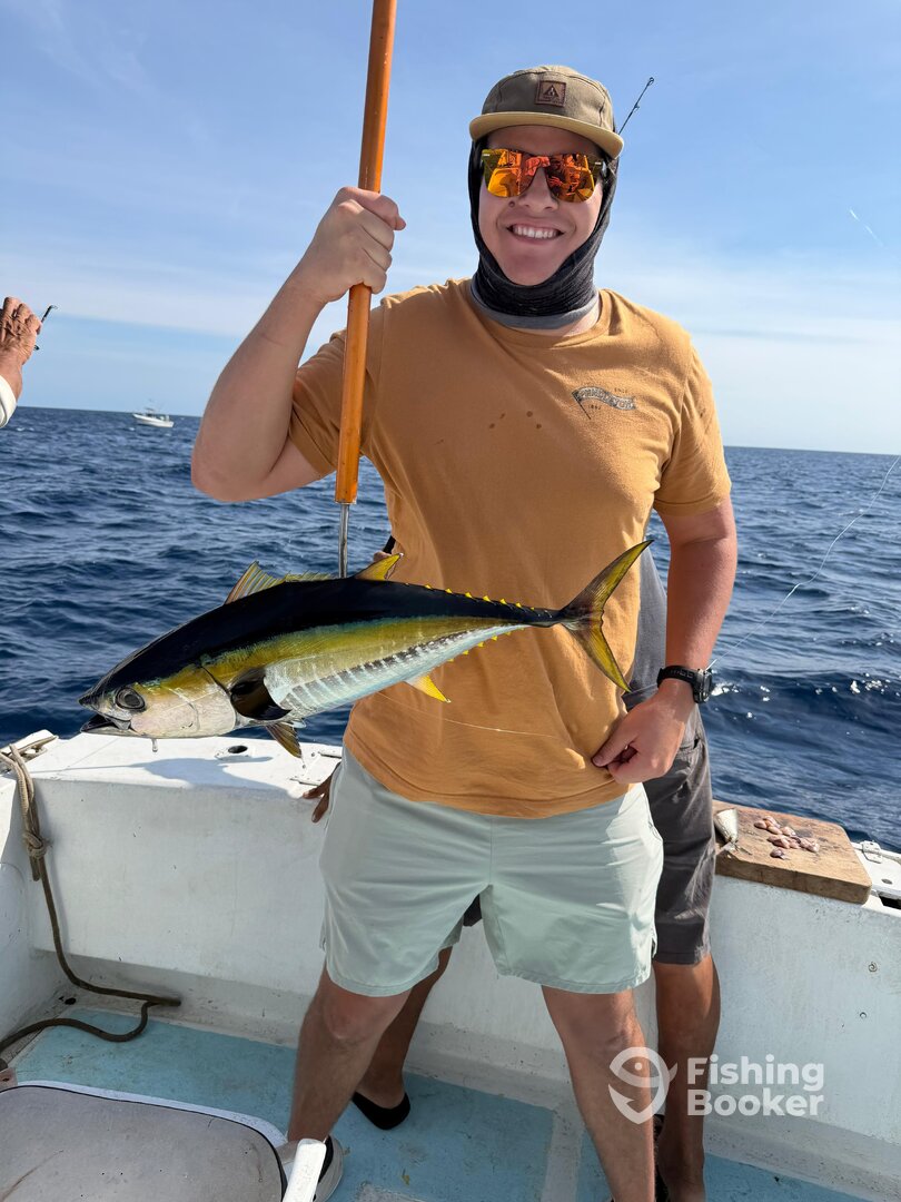 San Jose del Cabo Report Photo 0