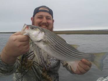 Chincoteague Report Photo 2