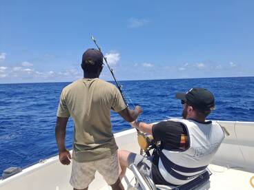 Fishes are moving in