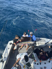 Fall sailfish , the time is now 