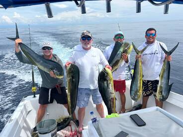 Mahi mahi fest on La Patrona 
