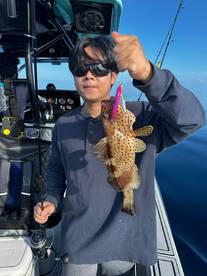 Malé Report Photo 2