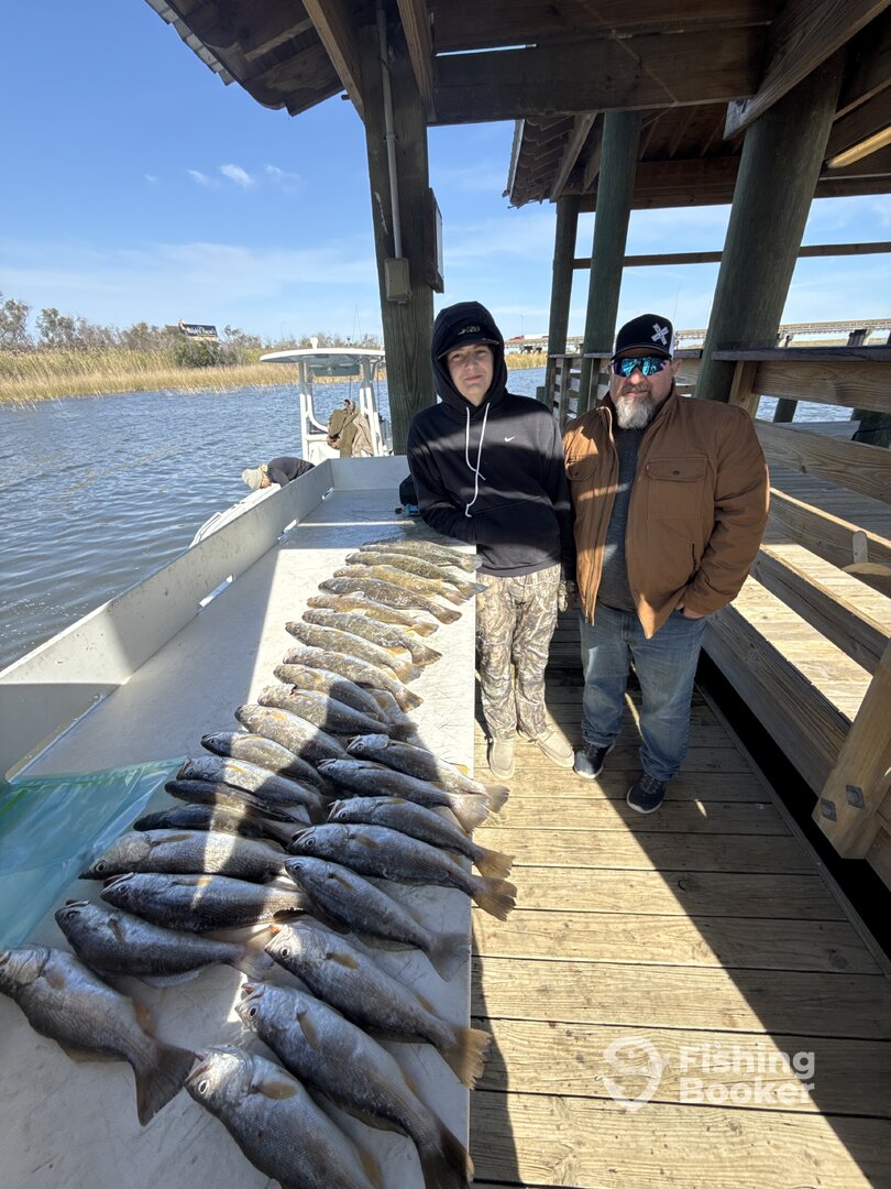 Dauphin Island Report Photo 0