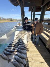 Wacken on the delta!! 