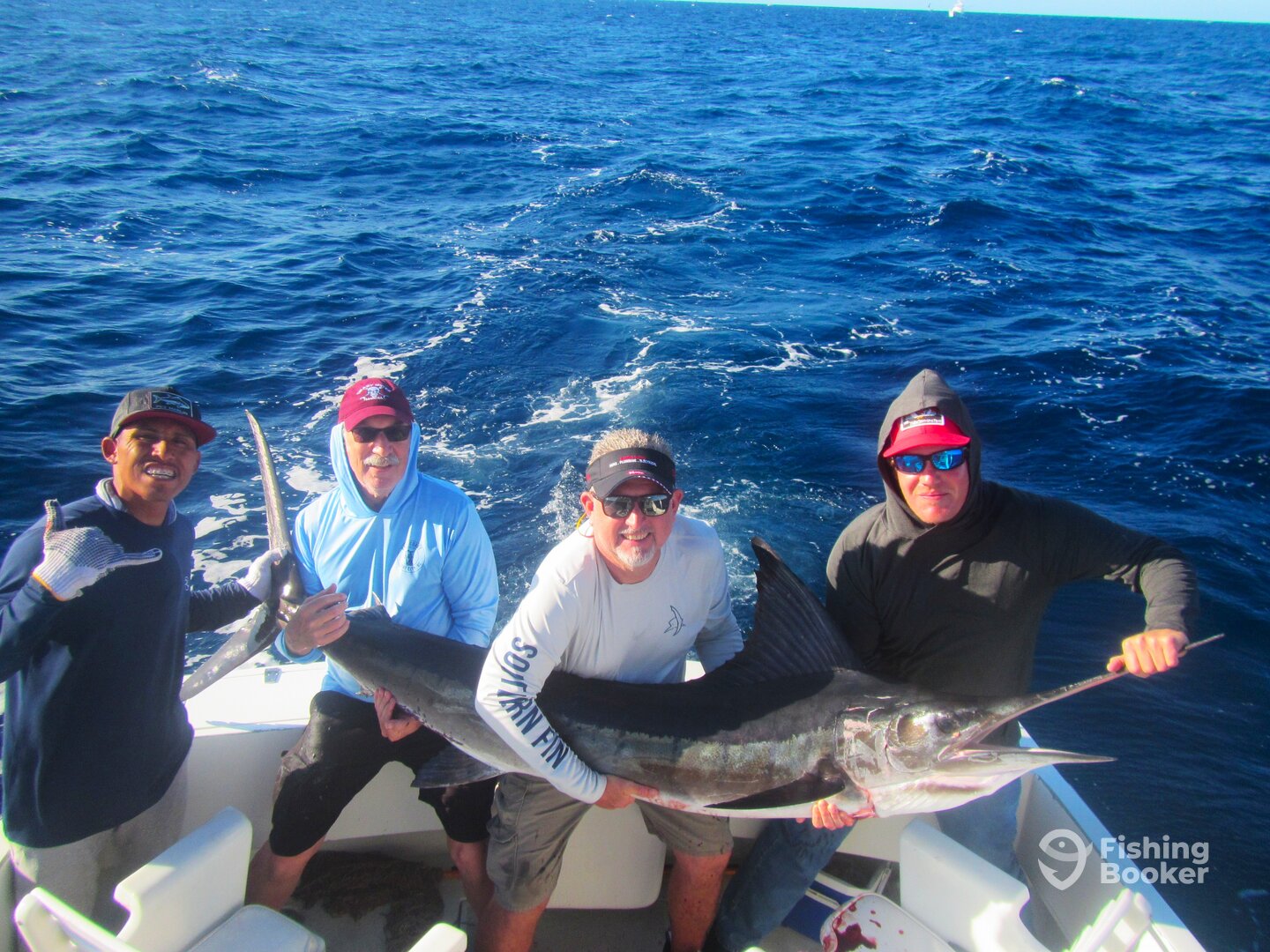 Cabo San Lucas Report Photo 0