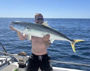 Summer kings on fire