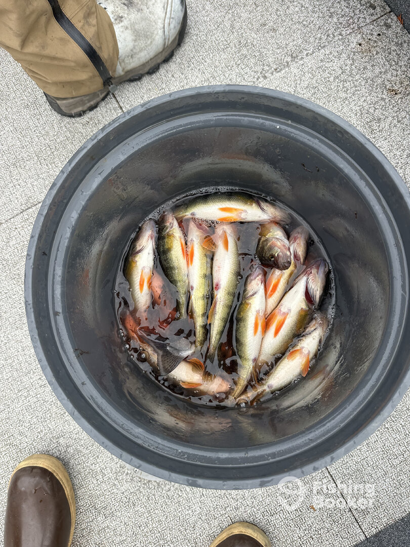 Lake Stevens Report Photo 0