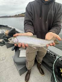 Lake Stevens Report Photo 3