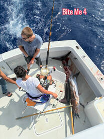 The taxman collected on this Marlin catc