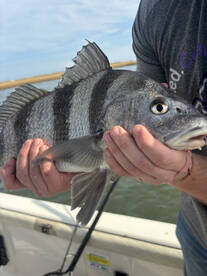 December Fishing Report 2025