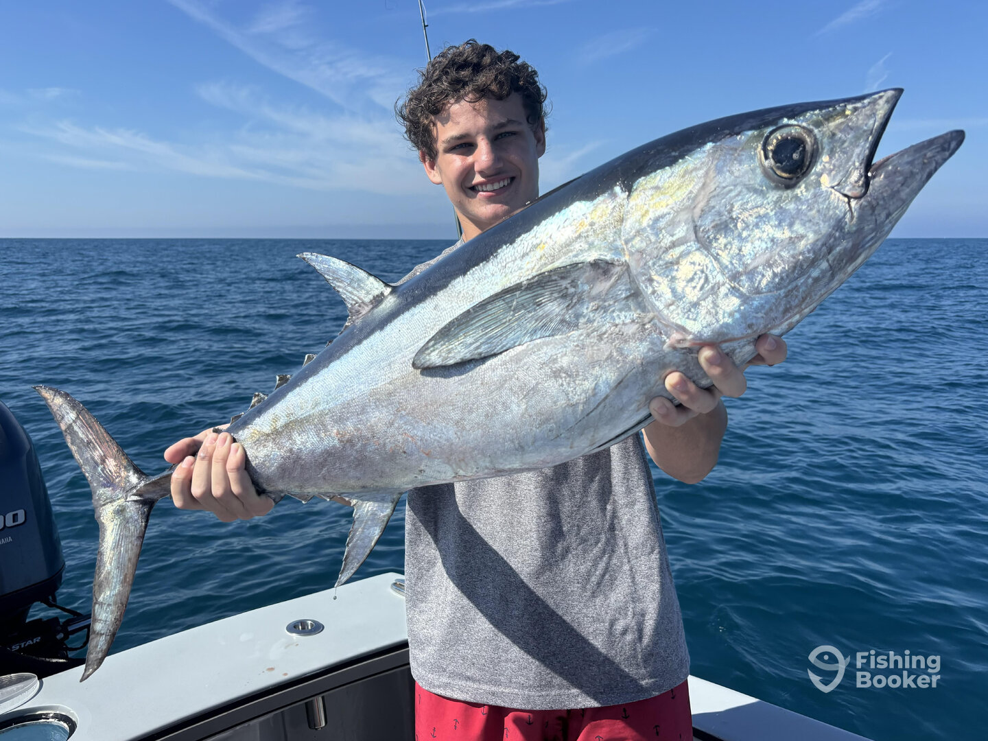 Naples Report Photo 0