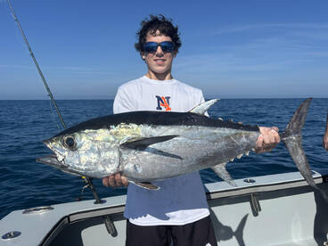 Naples Report Photo 1