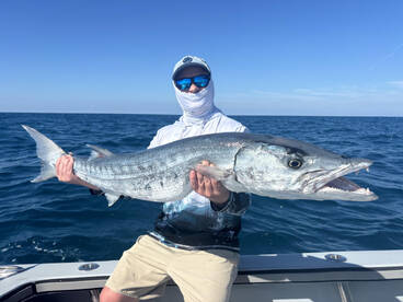 Naples Report Photo 1