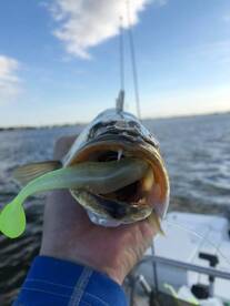 Live from Kemah. They are waiting on  yo