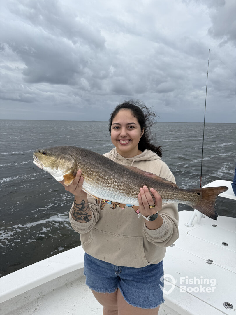 South Padre Island Report Photo 0