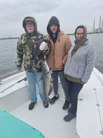 San Antonio Report Photo 2