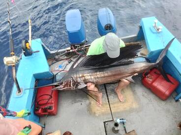 Sailfish season
