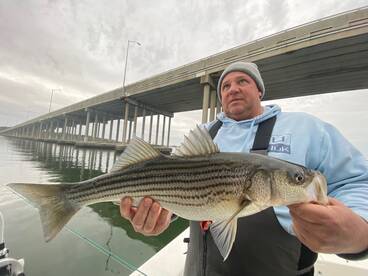Stripers are still around!