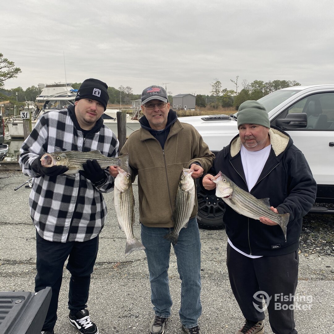 Upper Chesapeake Bay Report Photo 0