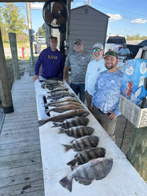 Day 1 of the ISC group 