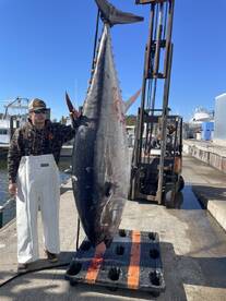 Bluefin Tuna Time