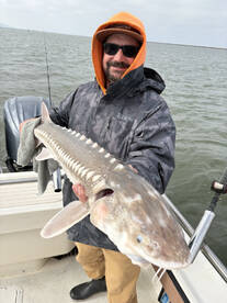 Berkeley Report Photo 1