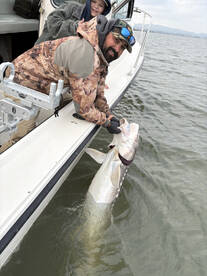 Berkeley Report Photo 2