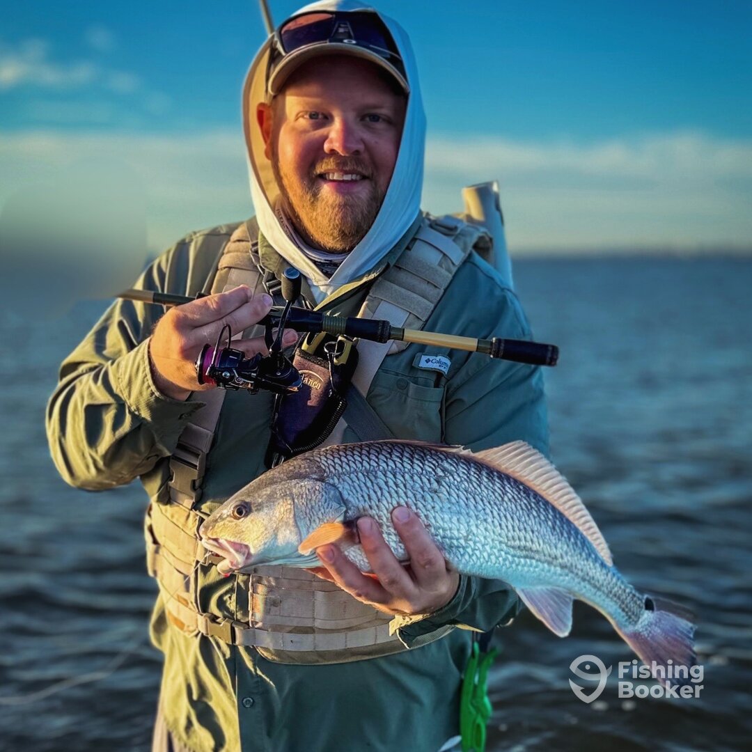 Palmetto Report Photo 0