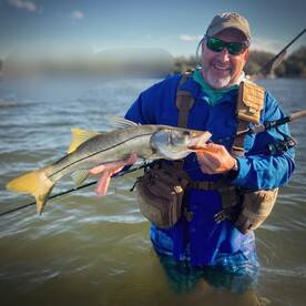 Palmetto Report Photo 2