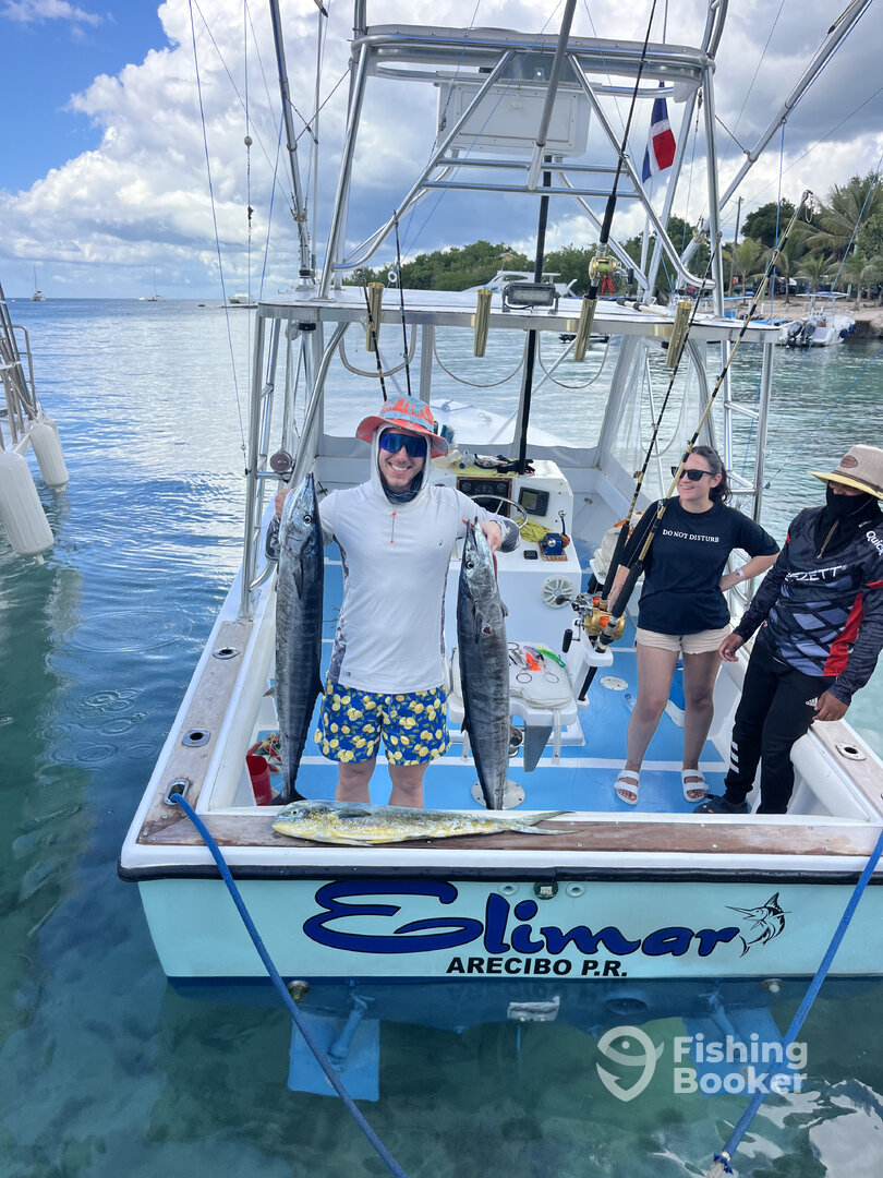 Dominicus Report Photo 0