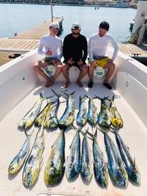 From Marina to Big Game!