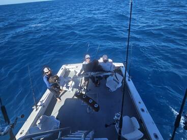 Sails, Snappers & Screaming Reels